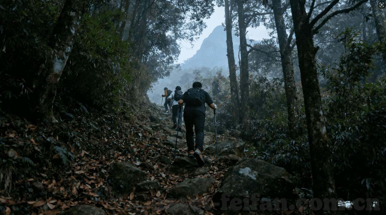 2026男篮世界杯投注-2026男篮世界杯投注，策略、风险与机遇
