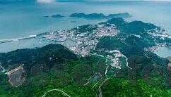 世界杯32强分析波兰-波兰队，世界杯32强中的坚韧之师